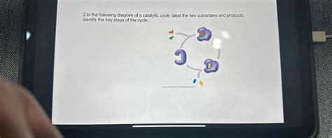 Solved 2.In the following diagram of a catalytic cycle, | Chegg.com