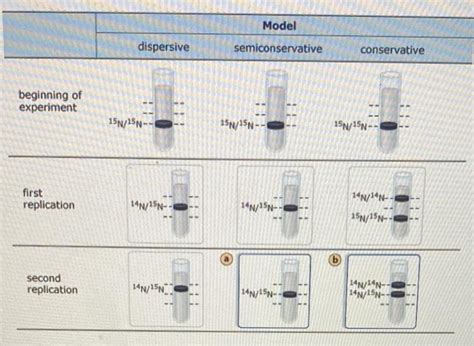 Solved Model dispersive semiconservative conservative | Chegg.com