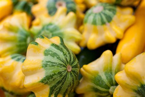 Oven Roasted Patty Pan Squash Recipe