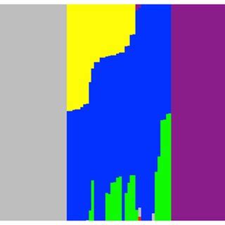 phylogeny diagram   panel   yam accessions based  yam