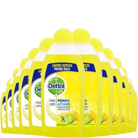 Dettol Allesreiniger Power And Fresh Citrus 500ml X12 Blokker