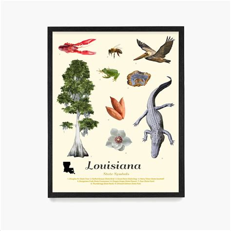 Louisiana State Symbols Typology Louisiana Poster Louisiana Wall Art