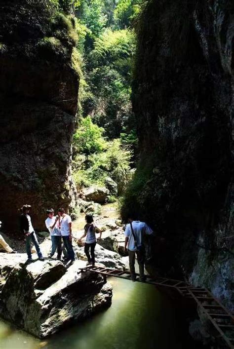 湖湘自然历丨清凉一夏⑳峡谷溯溪，体验茶马古道 湖湘自然历 新湖南