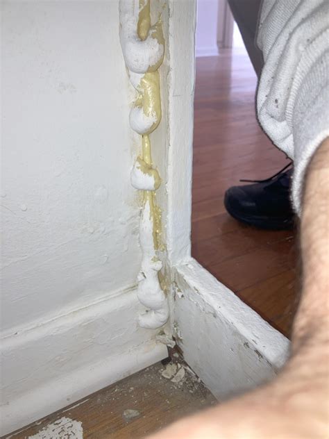 bathroom - Which of these areas are mold risks or pest-intrusion risks