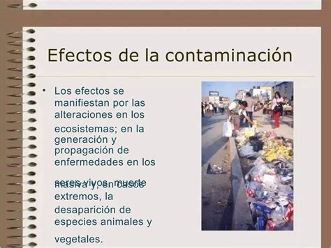 Pdf La Contaminacion Ambiental Pptx