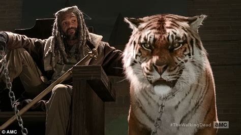 King Ezekiel And His Tiger Shiva Make Their Debut On The Walking Dead Daily Mail Online