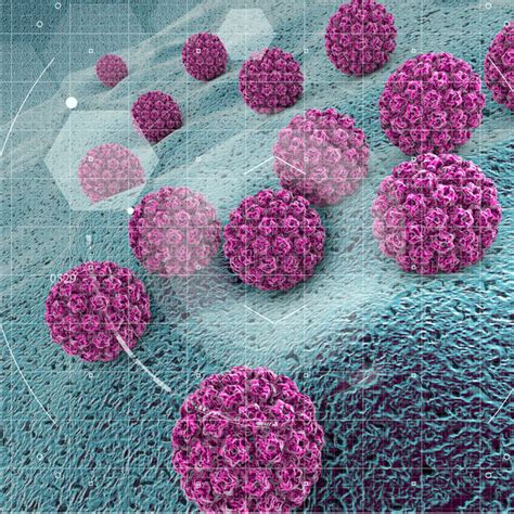 Virus Hpv Imagens Banco De Imagens E Fotos De Virus Hpv