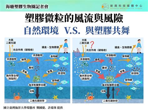 海廢恐增加全球病菌傳播風險 研究：黑潮流經台灣後，塑膠微粒多五倍 環境資訊中心