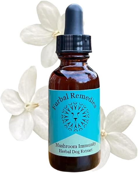 Amazon.com : Canine Mushroom Immunity Extract - Dog Herbal Supplement ...
