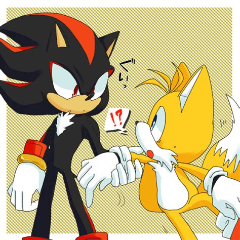 Shadow x Tails: - SONIC COUPLES - Fanpop