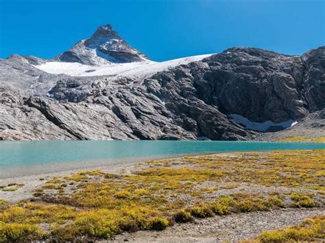 Lake Under Granta Parei Mountain In Gran Paradiso Monkeys And