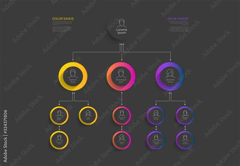 Company Hierarchy Infographic Layout Stock Template | Adobe Stock