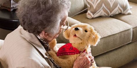 How Robotic Cats And Dogs Are Providing Comfort To Seniors With