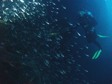 IJNS Nagato Bikini Atoll Summer
