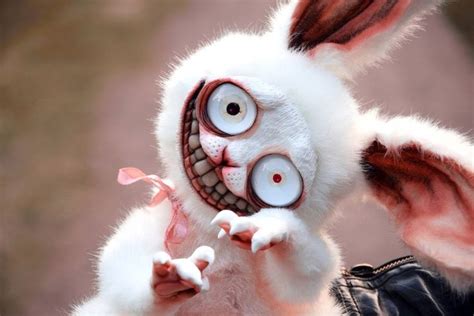 Crazy Bunny Etsy Cute Fantasy Creatures Bunny