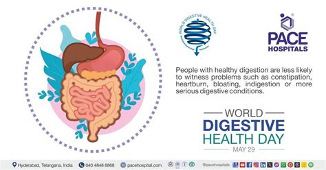 World Digestive Health Day 29 May 2024 Theme And Importance