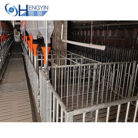 China Factory Hot Dip Galvanized Sow Farm Gestation Stall Sow Gestation