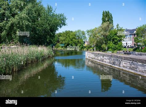 Dendermonde East Flemish Region Belgium June 4 2023 Trees