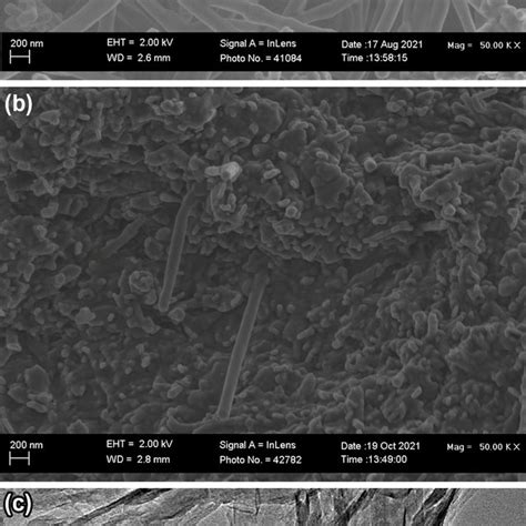 A Cv Bare And Cnf Gce 5 Mm Ferroferricyanide In 01 M Kcl At A Scan Download Scientific