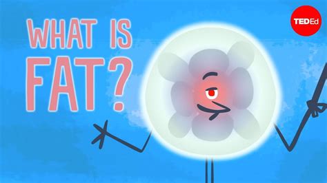 fat explained  young india