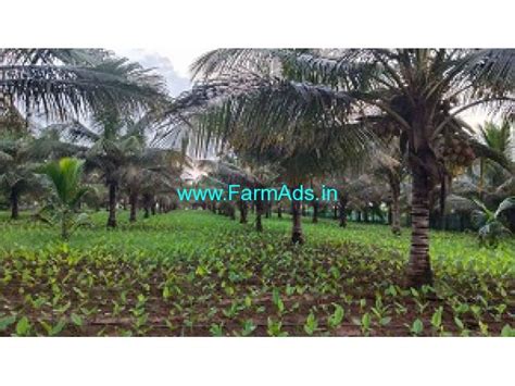 Acres Agricultural Land For Sale Near Gaddige Road Mysore Mysore