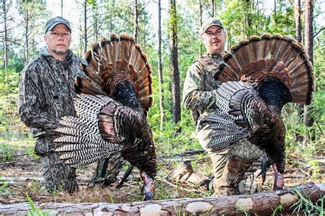 Late Season Turkey Hunting In Georgia Grand Slam Network