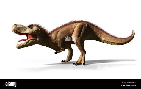 Tyrannosaurus Rex T Rex Dinosaur From The Jurassic Period D Render