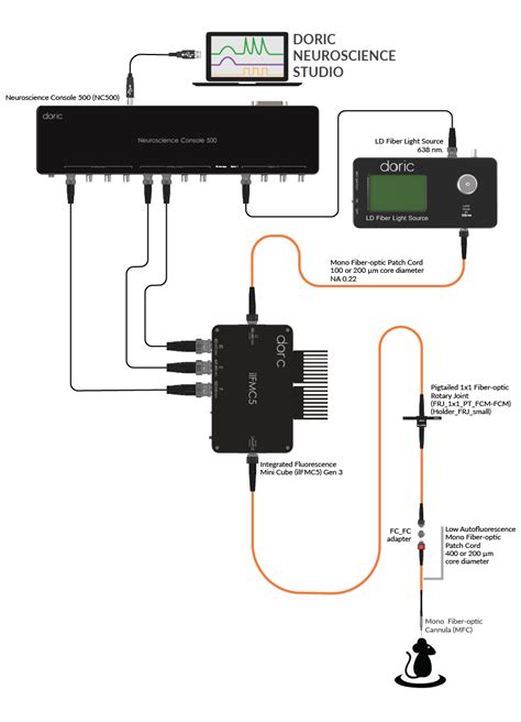 Basic Fiber Photometry System Doric Lenses Inc