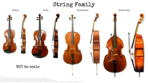 String Instruments – The Complete Guide – soundtrack.academy