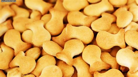 Pepperidge Farm Recalls 4 Varieties Of Goldfish Snacks Due To The