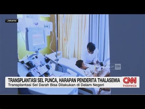 Transplantasi Sel Punca Harapan Penderita Thalasemia YouTube