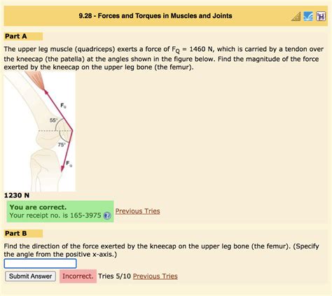 Solved 9 28 Forces And Torques In Muscles And Joints Part Chegg