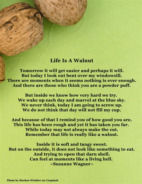 Suzanne Wagner Poem Life Is A Walnut Suzanne Wagner