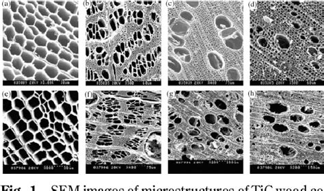 Figure 1 from Bio-Inspired Functional Materials Templated From Nature ...