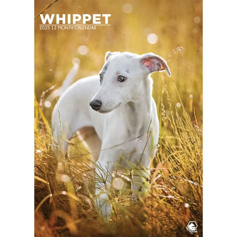 Buying Whippet A Calendar Order Online Quickly And Easily