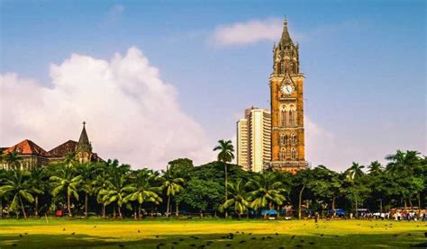 University of Mumbai to launch innovative courses in upcoming academic year