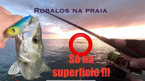 Robalos Na Praia S Isca De Superf Cie Parte Youtube