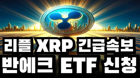 리플 코인 리플 Xrp 긴급속보 반에크 Etf신청했다 이영상 꼭보셔야합니다 리플목표가 리플호재 리플전망 리플코인