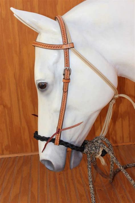 One Of A Kind Loping Hackamores And Bitless Bridles Half Circle Ranch