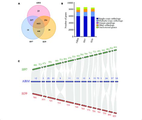 The Comparative Genomic Analysis Of Three A Bisporus Strains A Download Scientific