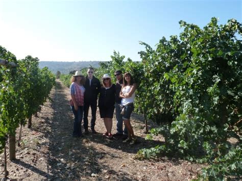 La Vendimia En Ribera De Duero El Blog De Pilar Velarde