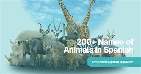 200+ Names of Animals in Spanish: Vocabulary for Everyone