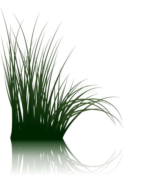 Grass On Water Stock Vector Illustration Of Growth Element 11355356