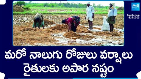 Heavy Rain Damage Crops Rain Expected For Next Days In Telangana