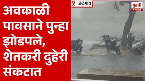 Pudhari News अवकाळी पावसामुळे शेतकरी कोलमडला दुहेरी संकटामुळं Unseasonalrains Youtube