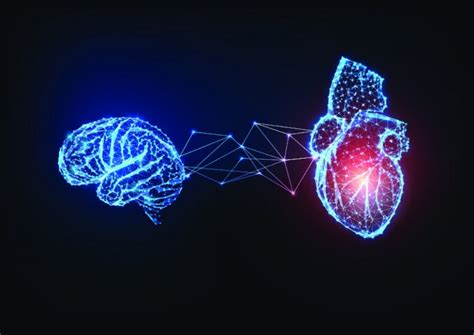 El Cerebro Del CorazÓn Y La Coherencia CardÍaca