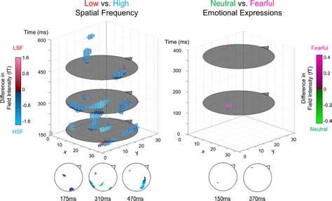 Statistical Parametric Maps Of Sensor Data A 3D Representation Of