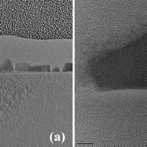 FE SEM Images Of Surface Morphology Of ALD Thin Films Synthesized At