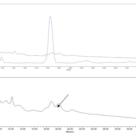 A Hplc Chromatogram Of Valeriana Officinalis Methanolic Extract