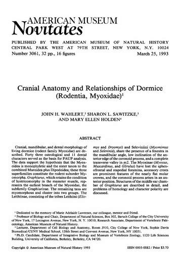 Cranial anatomy and relationships of dormice (Rodentia, Myoxidae) : Wahlert, John H : Free ...